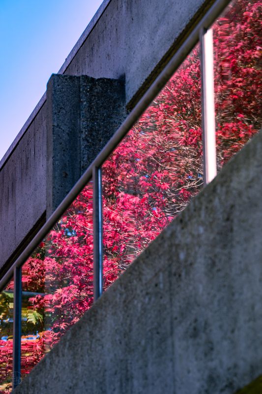 Canada · 6