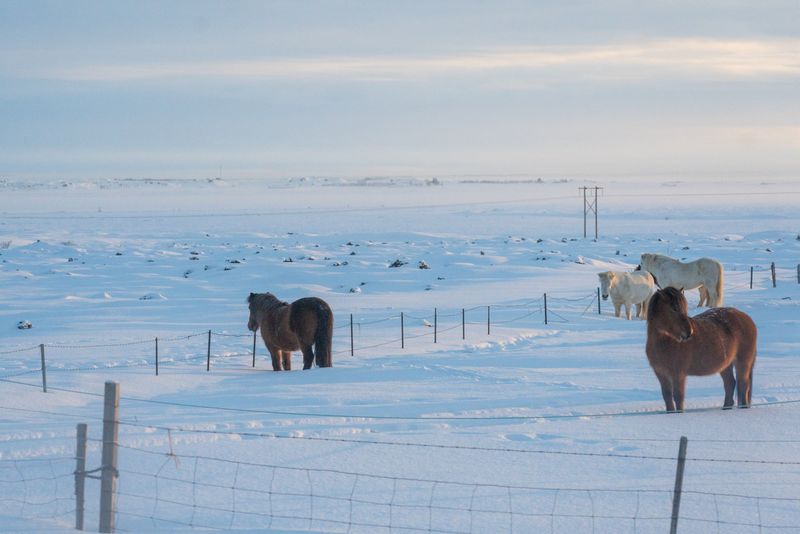 Iceland · 10