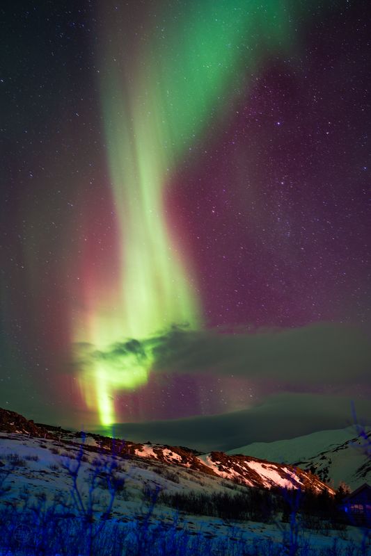 Iceland · 23