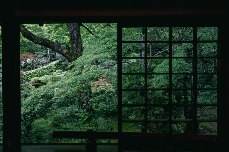 Japan · 6