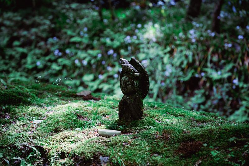 Japan · 7